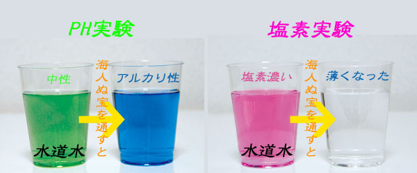 ペーハー実験 塩素実験