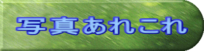 写真あれこれ