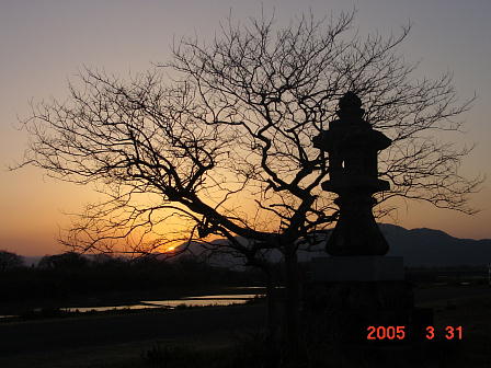 t쒬̗[z@