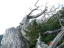 工石山D